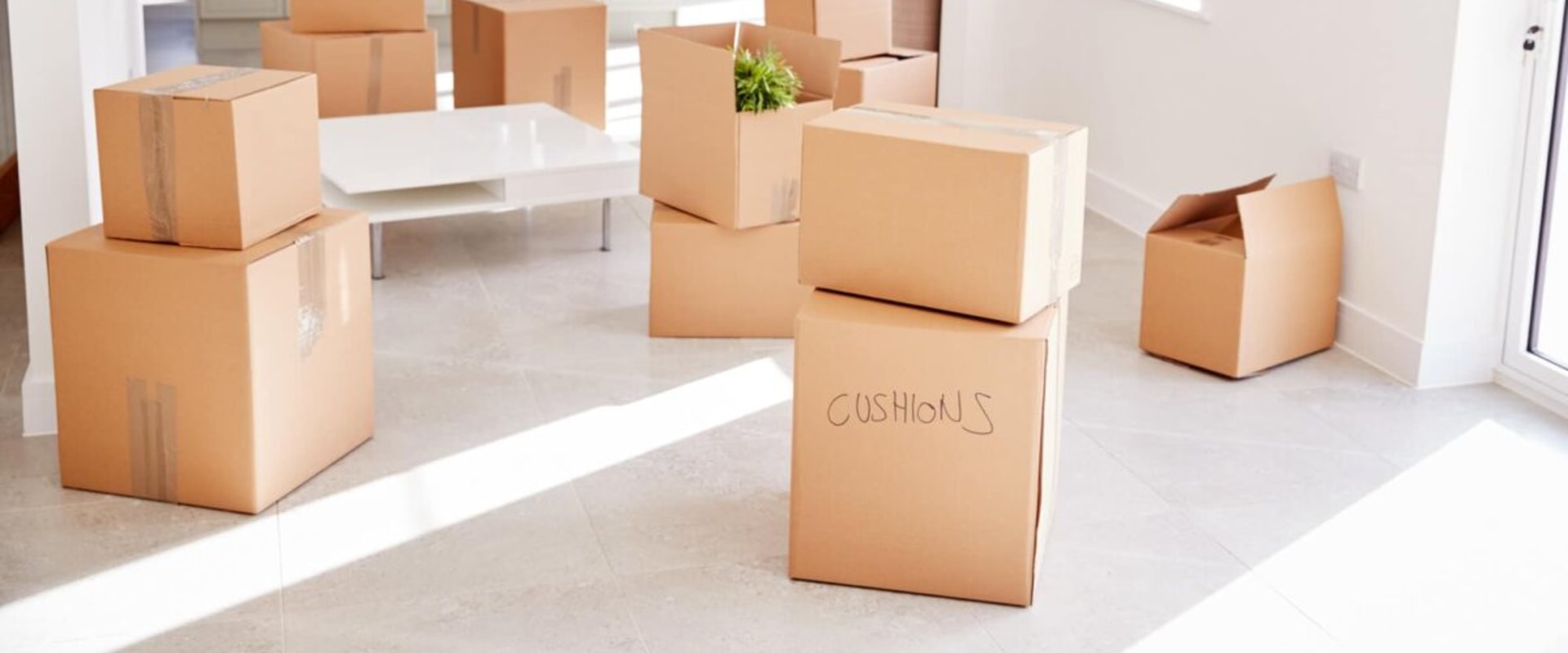 Best Local Movers in Palm Coast