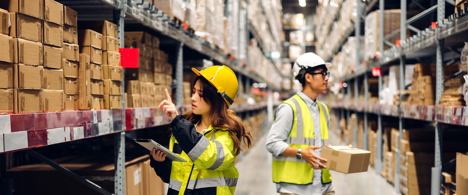 A Comprehensive Look into Warehouse Management for Logistics Solutions and Inventory Management
